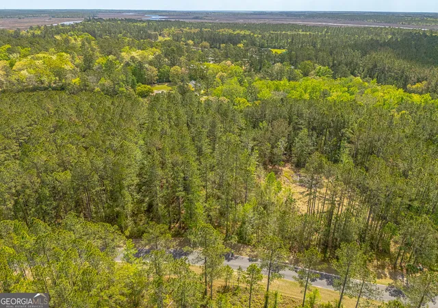 3rd image of Lot 4 Waverly Ln, White Oak, GA 31568 | MLS# 10777218