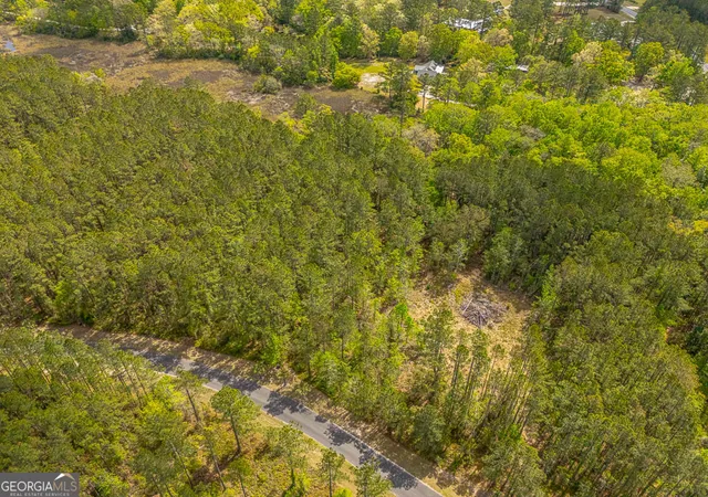 5th image of Lot 4 Waverly Ln, White Oak, GA 31568 | MLS# 10777218