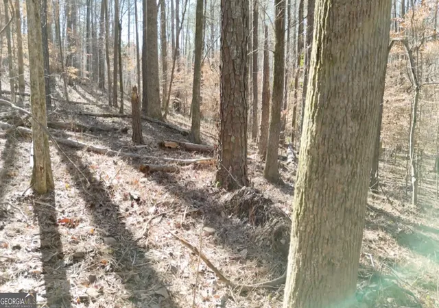 2nd image of 6137 Little Ridge Rd #LOT 3, Acworth, GA 30102 | MLS# 10240911