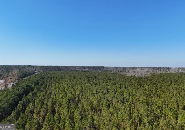 Photo 1 of Land for sale at 0088 003a Pine Level Church Rd, Hazlehurst, GA 31539 | MLS# 10660656 | Listing updated on 2026-08-01