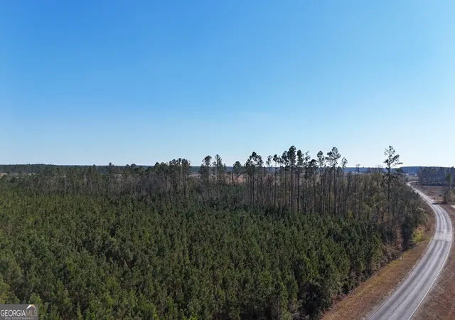 Photo 2 of Land for sale at 0088 003a Pine Level Church Rd, Hazlehurst, GA 31539 | MLS# 10660656 | Listing updated on 2026-08-01