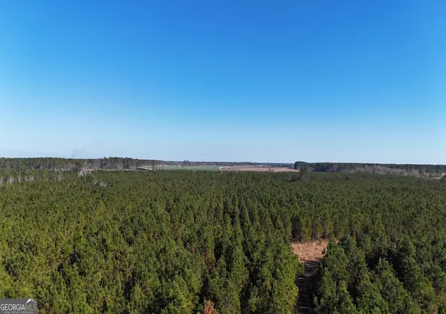 Photo 3 of Land for sale at 0088 003a Pine Level Church Rd, Hazlehurst, GA 31539 | MLS# 10660656 | Listing updated on 2026-08-01
