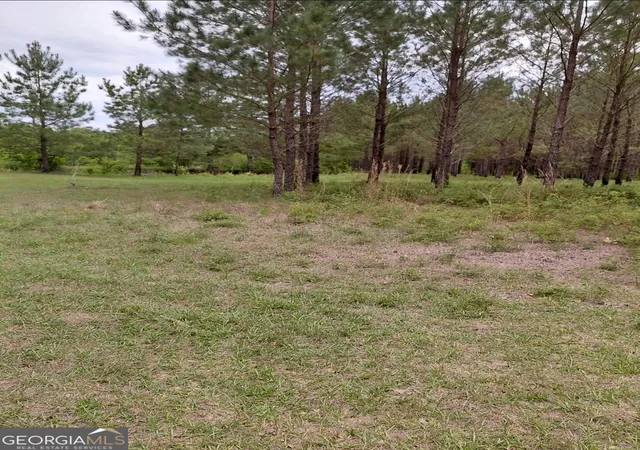 Homes for sale in Saint George, GA | 436 Russell Blvd #ACRES 21.45, Saint George, GA 31562 | MLS# 10771297