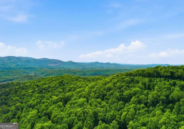 63rd image of 1564 Big Ben Rd, Ellijay, GA 30540 | MLS# 10826192