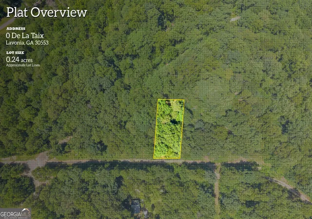 1st image of 0 De La Taix Dr, Lavonia, GA 30553 | MLS# 10809993
