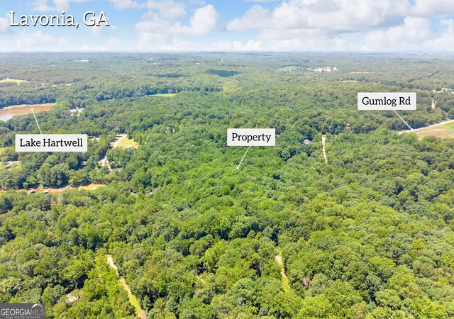 Photo 3 of Land for sale at 0 De La Taix Dr, Lavonia, GA 30553 | MLS# 10809993 | Listing updated on 2026-08-04