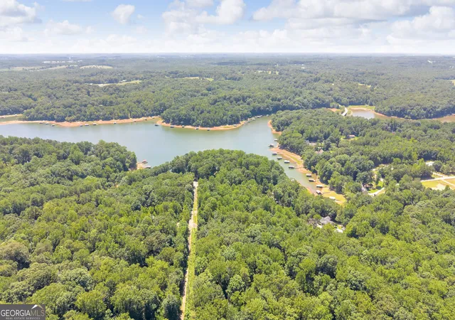 Photo 3 of Land for sale at 0 De La Taix Dr, Lavonia, GA 30553 | MLS# 10809993 | Listing updated on 2026-08-04