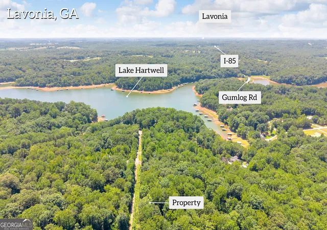 Photo 4 of Land for sale at 0 De La Taix Dr, Lavonia, GA 30553 | MLS# 10809993 | Listing updated on 2026-08-04
