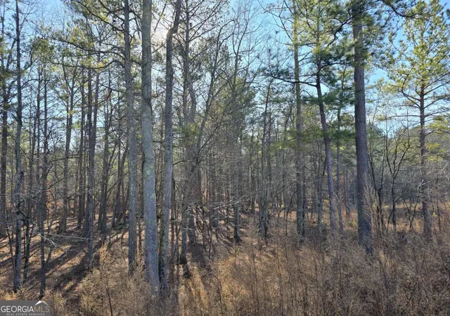 Photo 3 of Land for sale at 0 Highgrove Dr, Talking Rock, GA 30175 | MLS# 10449357 | Listing updated on 2026-07-22