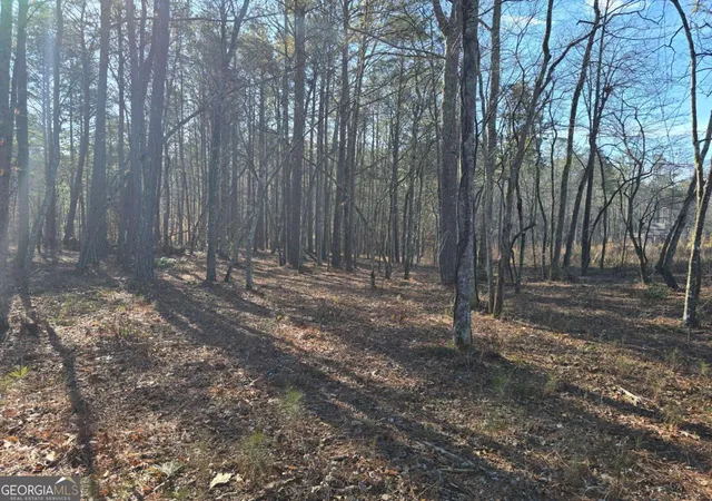 Photo 4 of Land for sale at 0 Highgrove Dr, Talking Rock, GA 30175 | MLS# 10449357 | Listing updated on 2026-07-22