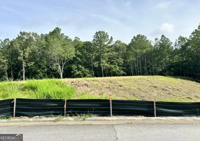 5th image of 389 Timothy Dr, Dallas, GA 30132 | MLS# 10810994