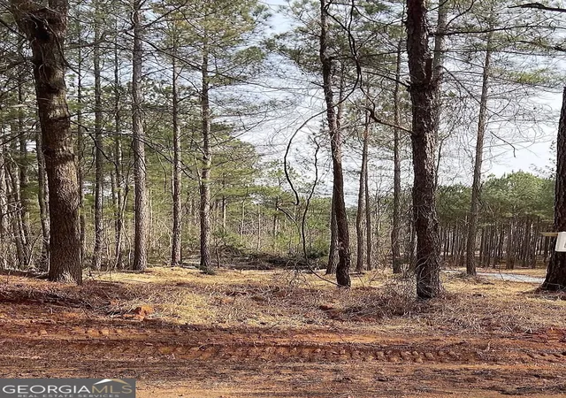 2nd image of Lot 4 Jaxon Path, Dallas, GA 30157 | MLS# 10727217
