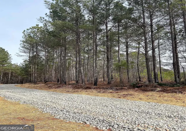3rd image of Lot 4 Jaxon Path, Dallas, GA 30157 | MLS# 10727217