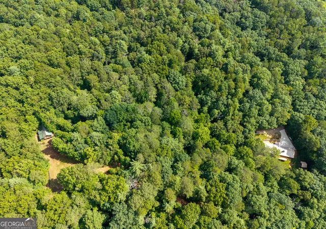 45th image of 673 Harold Pritchett, Ellijay, GA 30540 | MLS# 10800876