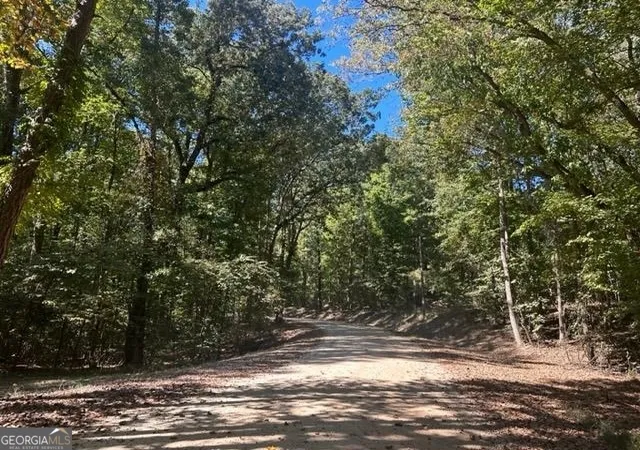 2nd image of Lot Lake View Dr, Lavonia, GA 30553 | MLS# 10826092