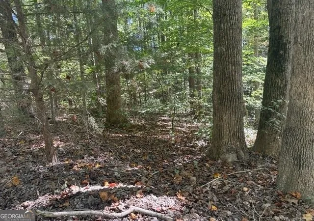 Photo 3 of Land for sale at Lot Lake View Dr, Lavonia, GA 30553 | MLS# 10826092 | Listing updated on 2026-08-28