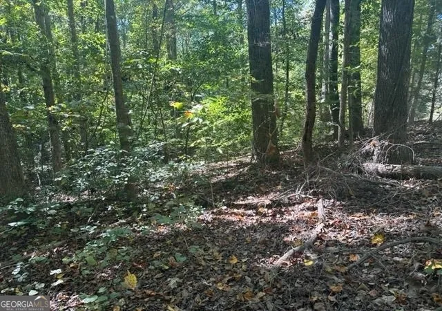 Photo 3 of Land for sale at Lot Lake View Dr, Lavonia, GA 30553 | MLS# 10826092 | Listing updated on 2026-08-28