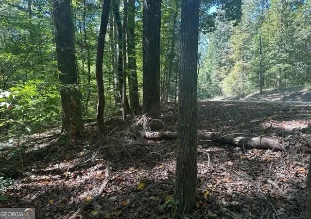 Photo 4 of Land for sale at Lot Lake View Dr, Lavonia, GA 30553 | MLS# 10826092 | Listing updated on 2026-08-28