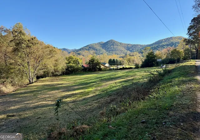 14th image of 0 Zoellner Ln, Dillard, GA 30537 | MLS# 10787589