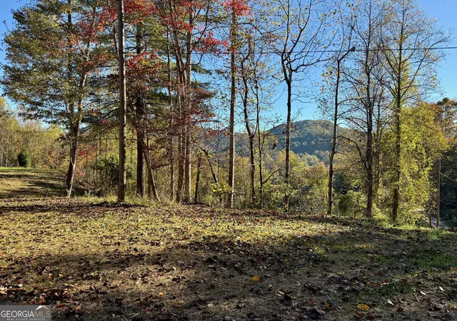 2nd image of 0 Zoellner Ln, Dillard, GA 30537 | MLS# 10787589