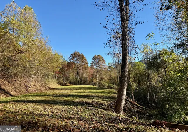 3rd image of 0 Zoellner Ln, Dillard, GA 30537 | MLS# 10787589