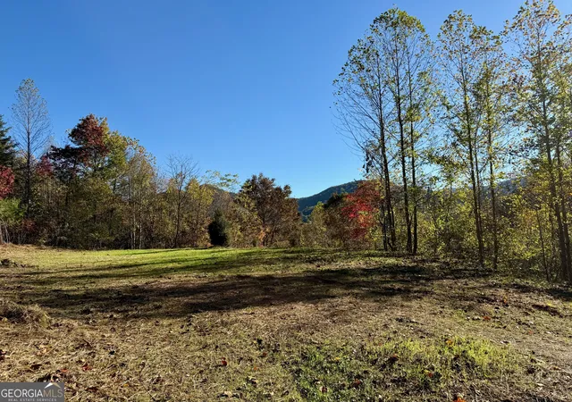 4th image of 0 Zoellner Ln, Dillard, GA 30537 | MLS# 10787589