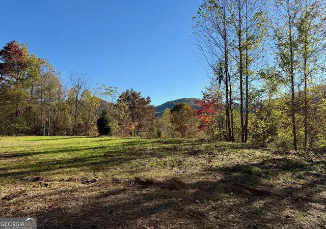 5th image of 0 Zoellner Ln, Dillard, GA 30537 | MLS# 10787589