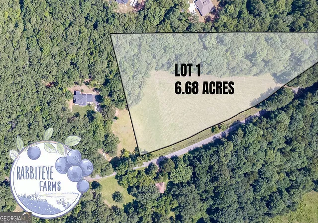 image of Lot 1 Haynes Rd, Moreland, GA 30259 | MLS# 10804410