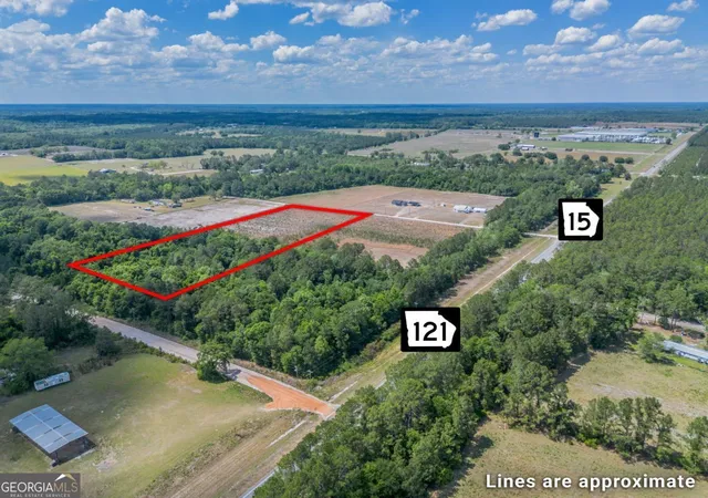 Homes for sale in Hoboken, GA | 66 Acres Bert Rd Rd, Hoboken, GA 31542 | MLS# 10758402