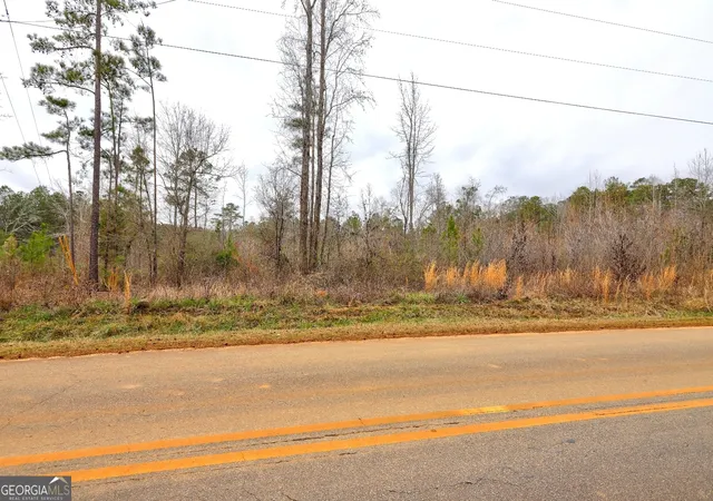 15th image of Lot 5 Cochran Road, Madison, GA 30650 | MLS# 10812168