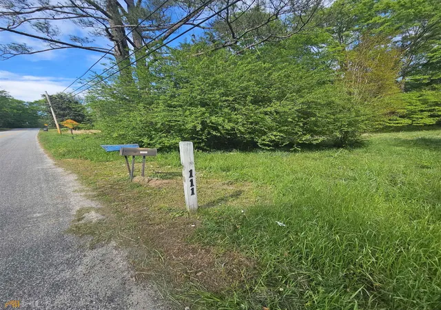3rd image of 111 Smith Rd, Newnan, GA 30263 | MLS# 10804170