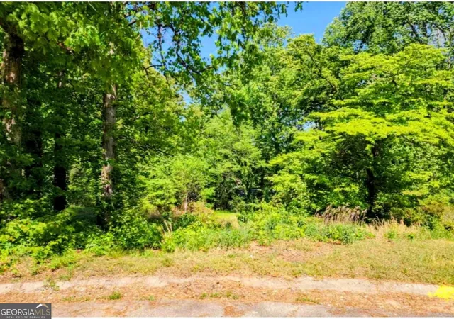 3rd image of 2612 Clay Court, Jonesboro, GA 30236 | MLS# 10804475