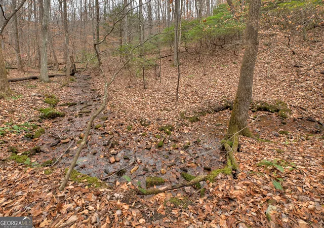 1st image of 0 Spruill Dr, Ellijay, GA 30536 | MLS# 10656113