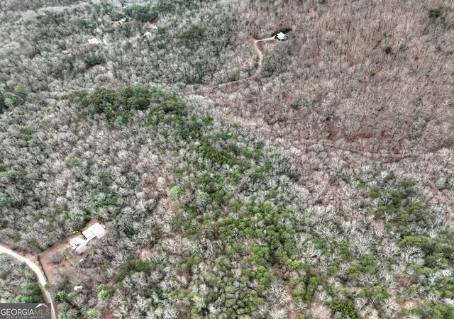 Photo 4 of Land for sale at 0 Spruill Dr, Ellijay, GA 30536 | MLS# 10656113 | Listing updated on 2026-07-20