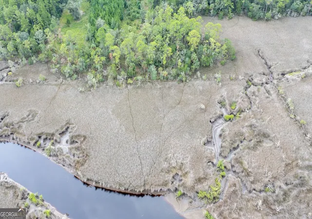 Photo 2 of Land for sale at V/l La Sole Ln, Waverly, GA 31565 | MLS# 10833978 | Listing updated on 2026-09-10