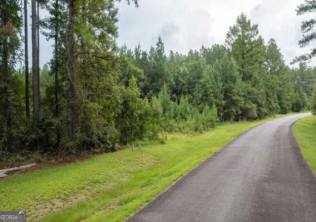 Photo 3 of Land for sale at V/l La Sole Ln, Waverly, GA 31565 | MLS# 10833978 | Listing updated on 2026-09-10