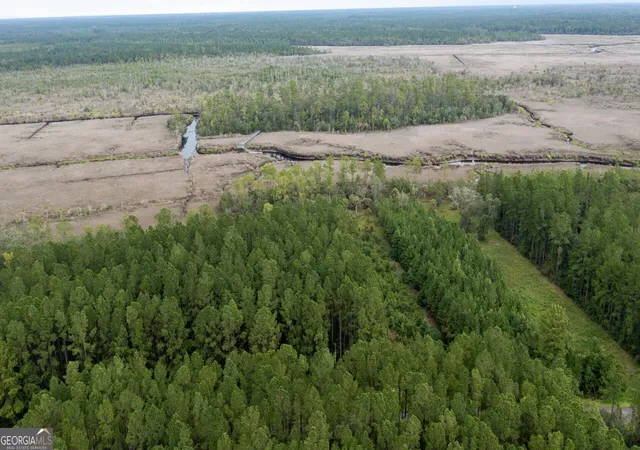 Photo 4 of Land for sale at V/L La Sole Ln, Waverly, GA 31565 | MLS# 10833978 | Listing updated on 2026-09-10