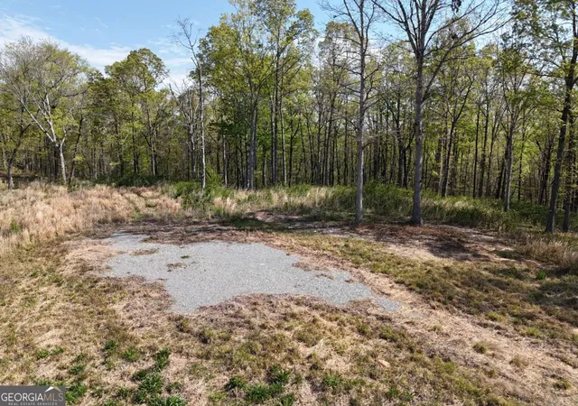 Photo 2 of Land for sale at Lt 20 Blalock Mountain Rd, Ellijay, GA 30540 | MLS# 10755616 | Listing updated on 2026-07-05