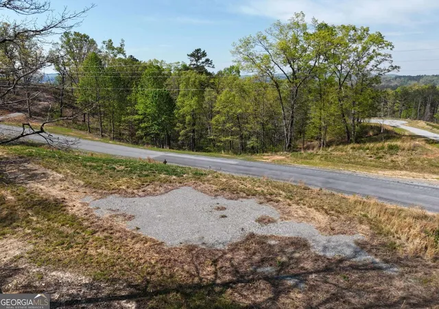 Photo 4 of Land for sale at Lt 20 Blalock Mountain Rd, Ellijay, GA 30540 | MLS# 10755616 | Listing updated on 2026-07-05