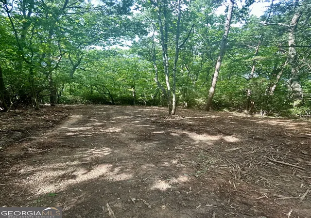 5th image of 0 Tri Star Rd, Cleveland, GA 30528 | MLS# 10823728