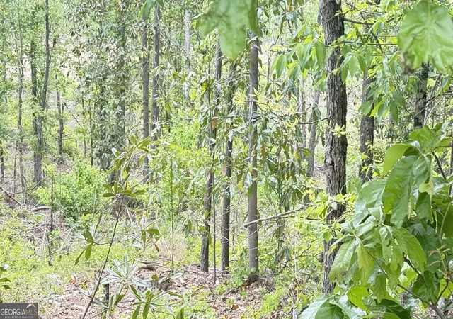 Photo 2 of Land for sale at 0 Hulseytown Rd, Dallas, GA 30157 | MLS# 10571268 | Listing updated on 2026-07-20