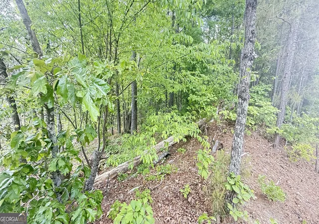Photo 3 of Land for sale at 0 Hulseytown Rd, Dallas, GA 30157 | MLS# 10571268 | Listing updated on 2026-07-20