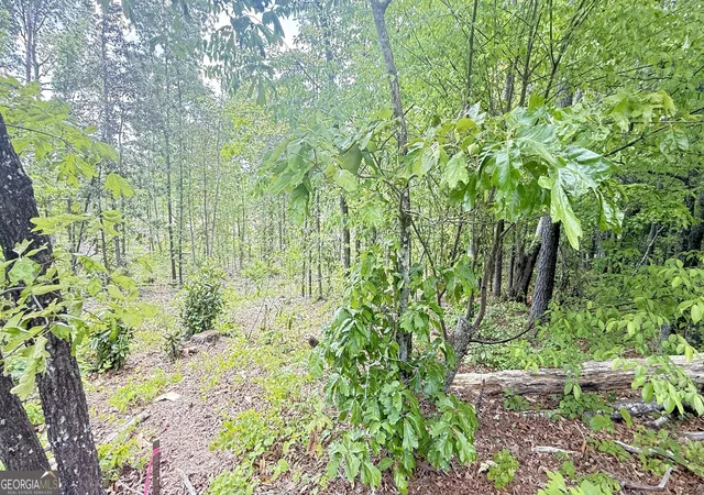 Photo 3 of Land for sale at 0 Hulseytown Rd, Dallas, GA 30157 | MLS# 10571268 | Listing updated on 2026-07-20