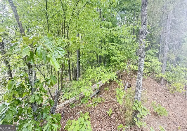 Photo 4 of Land for sale at 0 Hulseytown Rd, Dallas, GA 30157 | MLS# 10571268 | Listing updated on 2026-07-20
