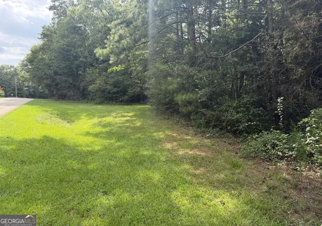 1st image of 0 County Road 82, Newell, AL 36280 | MLS# 10813065