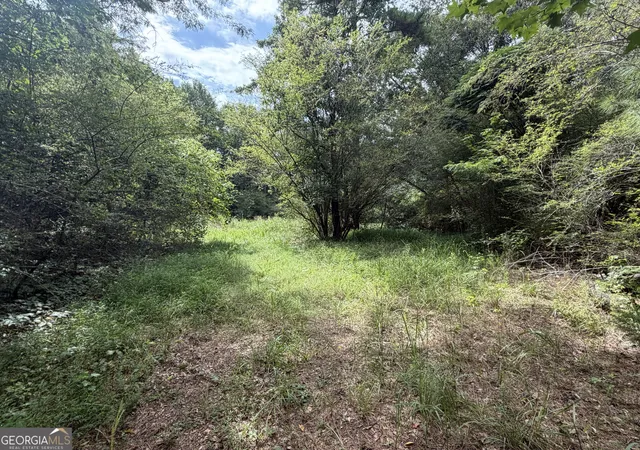 2nd image of 0 County Road 82, Newell, AL 36280 | MLS# 10813065