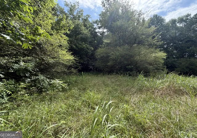 3rd image of 0 County Road 82, Newell, AL 36280 | MLS# 10813065
