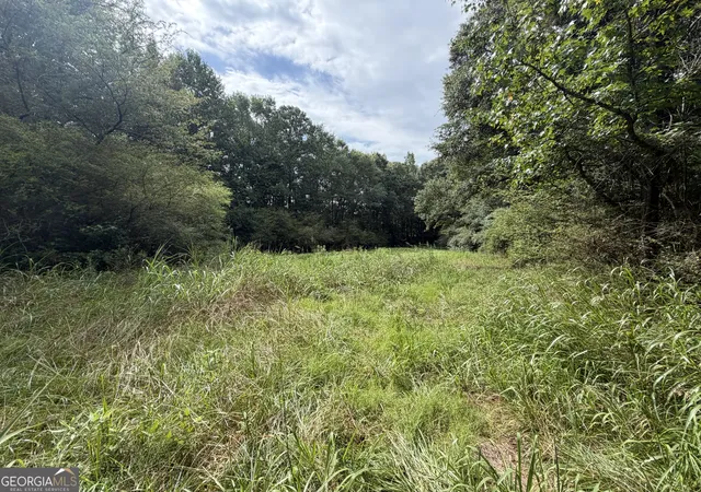 4th image of 0 County Road 82, Newell, AL 36280 | MLS# 10813065