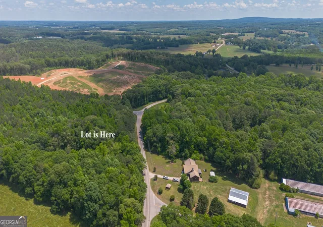 5th image of 0 County Road 82, Newell, AL 36280 | MLS# 10813065