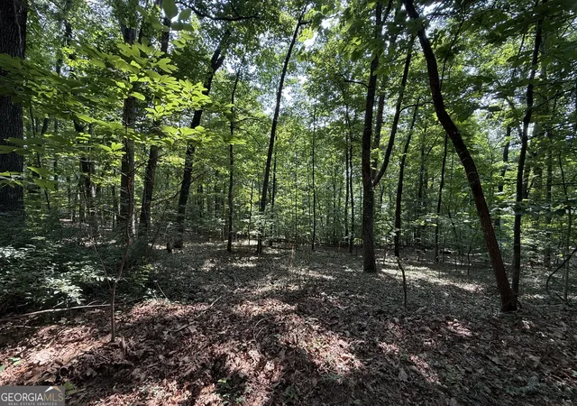 Homes for sale in Hayesville, NC | 248 Ledford Chapel Road, Hayesville, NC 28904 | MLS# 10795372